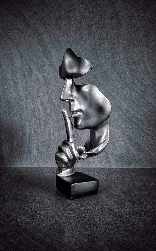 Cover of No Peace Beneath the Silence